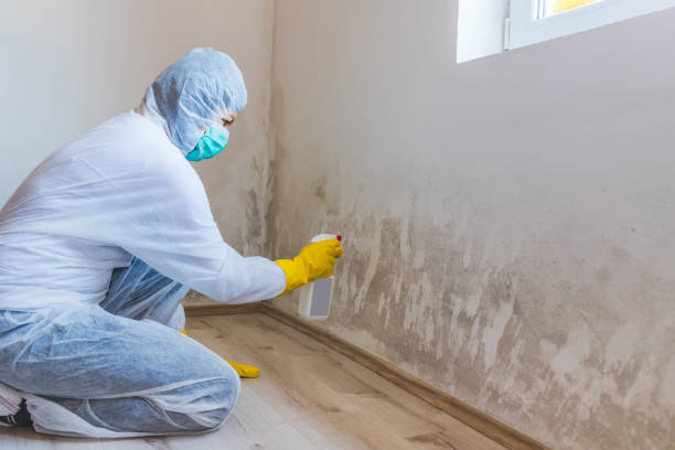 Hvac And Air Duct Mold Remediation inspection of HVAC system in Tilghman